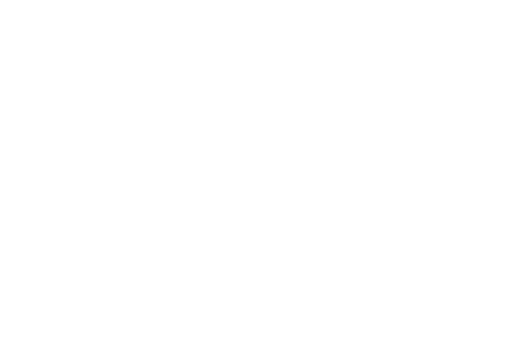 Company Group
